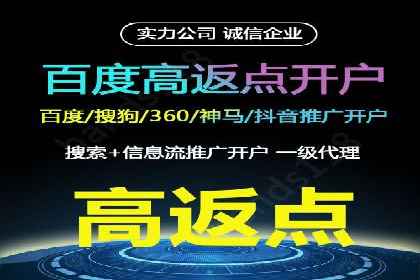 百度品牌广告的创意与执行案例